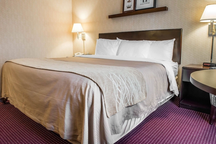 Imagen de la habitación del Hotel Comfort Inn Meadowlands. Foto 7