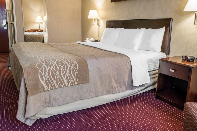 Imagen de la habitación del Hotel Comfort Inn Meadowlands. Foto 13