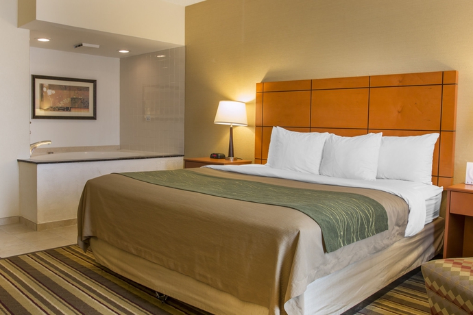 Imagen de la habitación del Hotel Comfort Inn Metro Airport. Foto 2