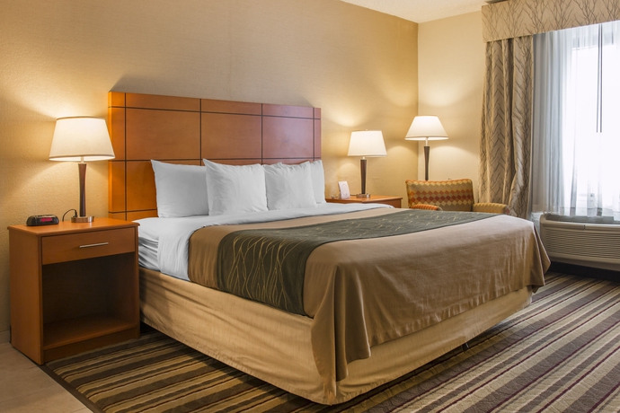 Imagen de la habitación del Hotel Comfort Inn Metro Airport. Foto 3