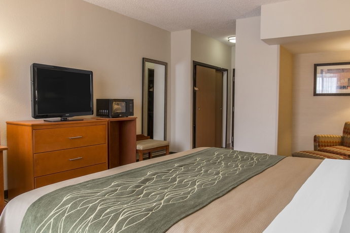 Imagen de la habitación del Hotel Comfort Inn Metro Airport. Foto 6
