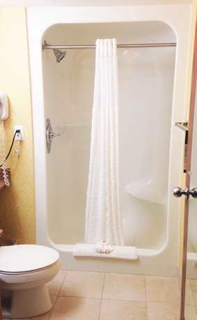 Imagen de la habitación del Hotel Comfort Inn Metro Airport. Foto 7