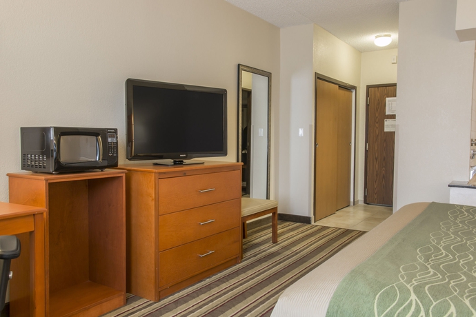 Imagen de la habitación del Hotel Comfort Inn Metro Airport. Foto 10