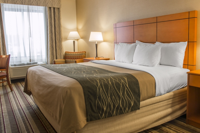 Imagen de la habitación del Hotel Comfort Inn Metro Airport. Foto 11