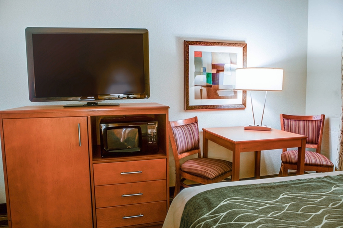 Imagen de la habitación del Hotel Comfort Inn Metro Airport. Foto 12