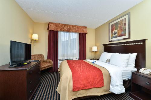 Imagen de la habitación del Hotel Comfort Inn Mifflin - Pittsburgh. Foto 9