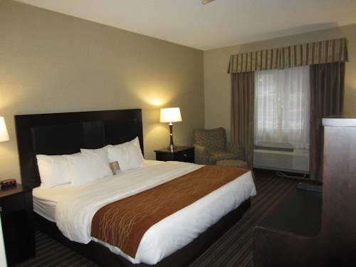 Imagen de la habitación del Hotel Comfort Inn Millersburg. Foto 2