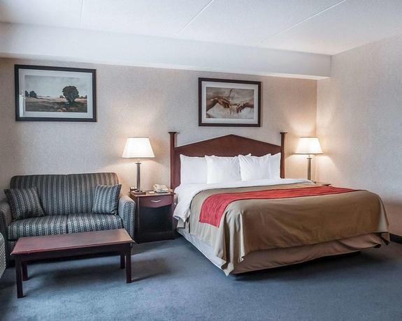 Imagen de la habitación del Hotel Comfort Inn Mississauga. Foto 3