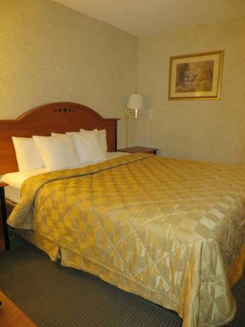 Imagen de la habitación del Hotel Comfort Inn Modesto. Foto 10