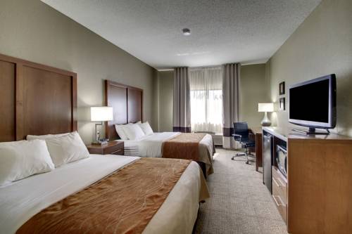 Imagen de la habitación del Hotel Comfort Inn Moline - Quad Cities. Foto 3