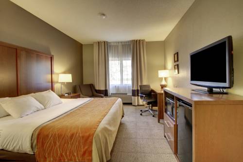 Imagen de la habitación del Hotel Comfort Inn Moline - Quad Cities. Foto 4