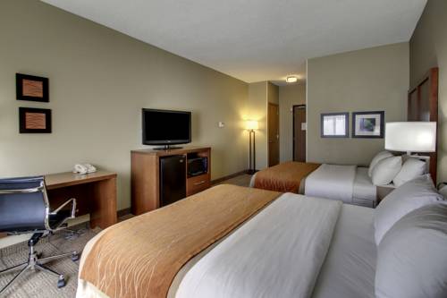 Imagen de la habitación del Hotel Comfort Inn Moline - Quad Cities. Foto 5