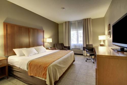 Imagen de la habitación del Hotel Comfort Inn Moline - Quad Cities. Foto 8
