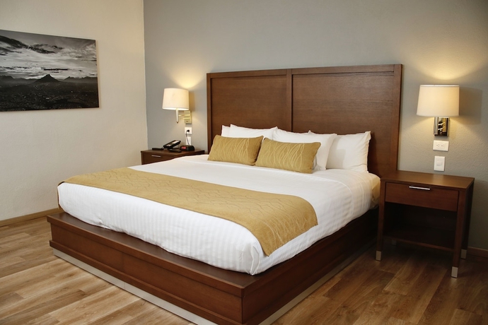 Imagen de la habitación del Hotel Comfort Inn Monterrey Valle. Foto 3