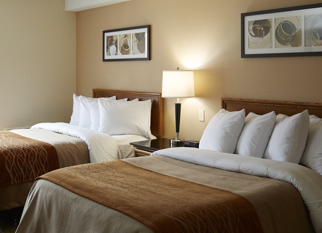 Imagen de la habitación del Hotel Comfort Inn Montreal - Laval - Highway 15. Foto 4