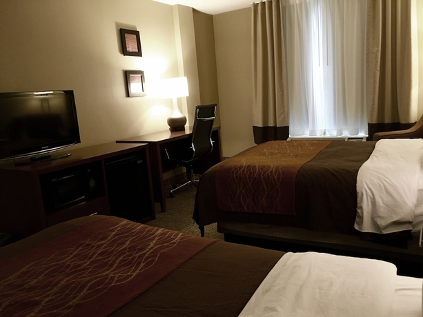 Imagen de la habitación del Hotel Comfort Inn Msp Airport - Mall Of America. Foto 2