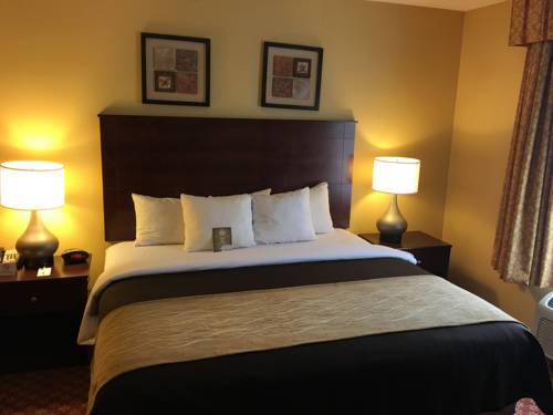 Imagen de la habitación del Hotel Comfort Inn Naugatuck. Foto 7