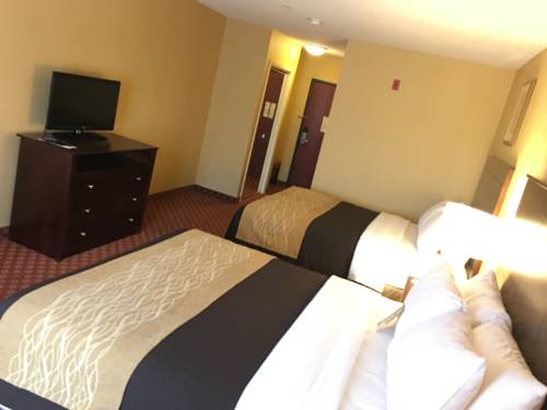 Imagen de la habitación del Hotel Comfort Inn Naugatuck. Foto 9