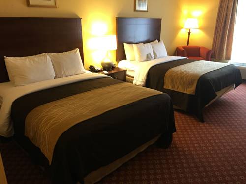 Imagen de la habitación del Hotel Comfort Inn Naugatuck. Foto 11
