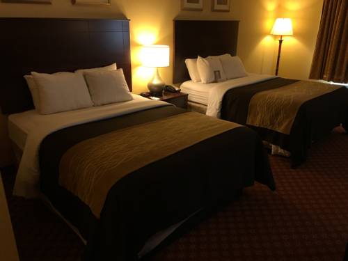 Imagen de la habitación del Hotel Comfort Inn Naugatuck. Foto 12