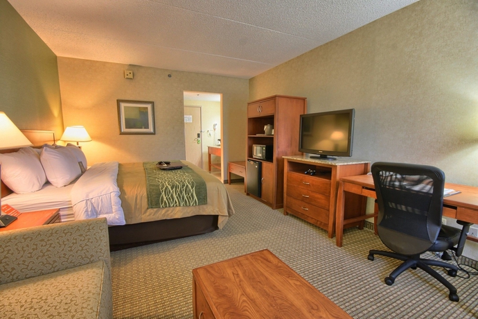 Imagen de la habitación del Hotel Comfort Inn Near Greenfield Village. Foto 8