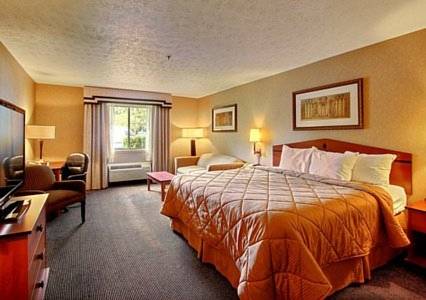 Imagen de la habitación del Hotel Comfort Inn Near Indiana Premium Outlets. Foto 2