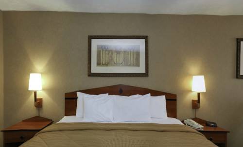 Imagen de la habitación del Hotel Comfort Inn Near Indiana Premium Outlets. Foto 8