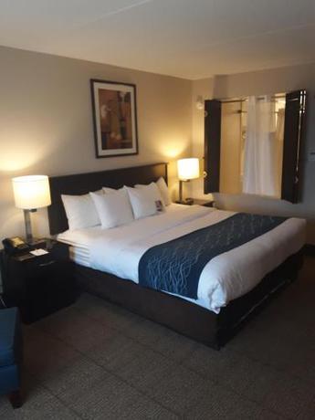 Imagen de la habitación del Hotel Comfort Inn Near Quantico Main Gate North. Foto 7