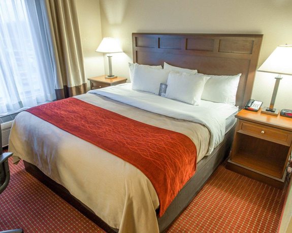 Imagen de la habitación del Hotel Comfort Inn New Orleans Airport South. Foto 2