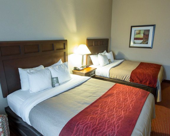 Imagen de la habitación del Hotel Comfort Inn New Orleans Airport South. Foto 7