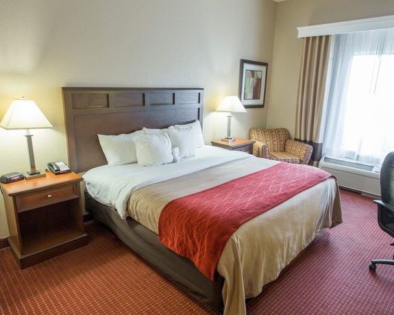 Imagen de la habitación del Hotel Comfort Inn New Orleans Airport South. Foto 11