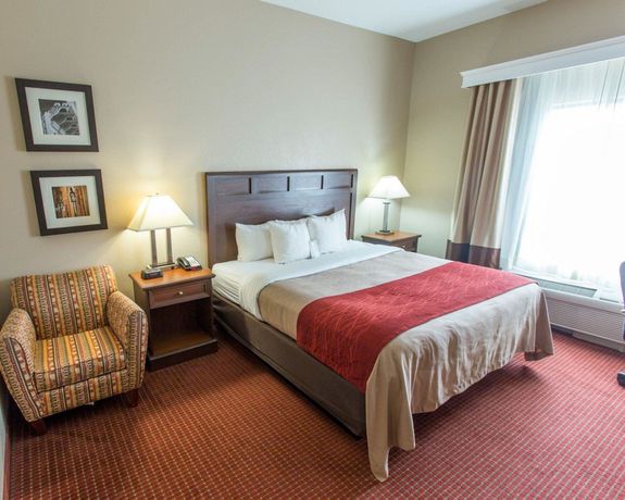 Imagen de la habitación del Hotel Comfort Inn New Orleans Airport South. Foto 14