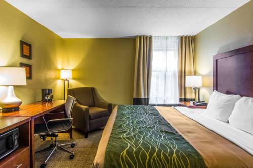 Imagen de la habitación del Hotel Comfort Inn Newport News/williamsburg East. Foto 1