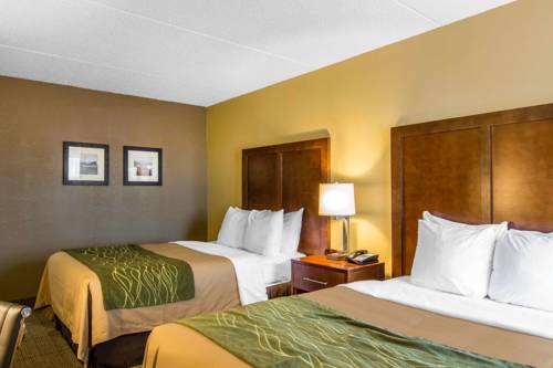 Imagen de la habitación del Hotel Comfort Inn Newport News/williamsburg East. Foto 2