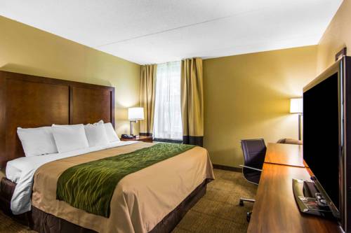 Imagen de la habitación del Hotel Comfort Inn Newport News/williamsburg East. Foto 3