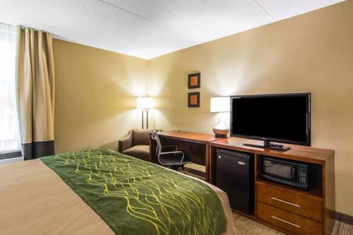 Imagen de la habitación del Hotel Comfort Inn Newport News/williamsburg East. Foto 4