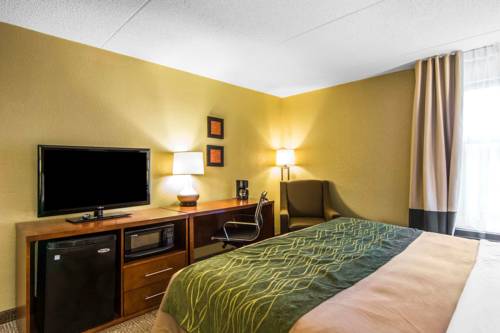 Imagen de la habitación del Hotel Comfort Inn Newport News/williamsburg East. Foto 5