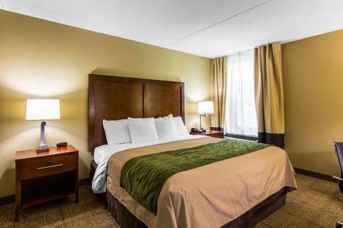 Imagen de la habitación del Hotel Comfort Inn Newport News/williamsburg East. Foto 6