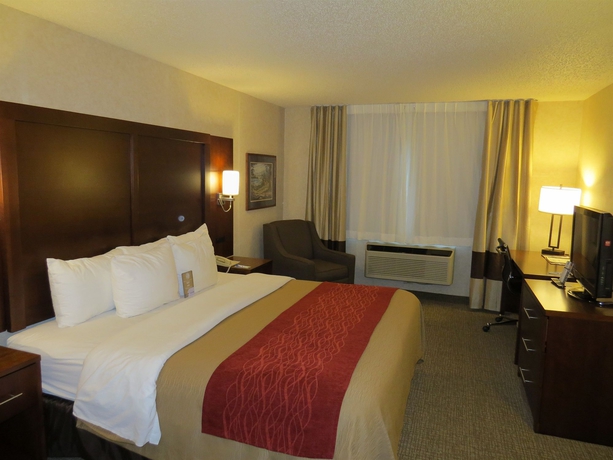 Imagen de la habitación del Hotel Comfort Inn North - Air Force Academy Area. Foto 6