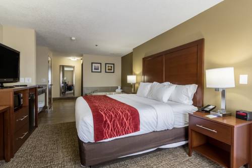 Imagen de la habitación del Hotel Comfort Inn Norwalk - Sandusky. Foto 4