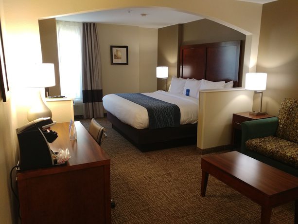 Imagen de la habitación del Hotel Comfort Inn Ocala Silver Springs. Foto 13