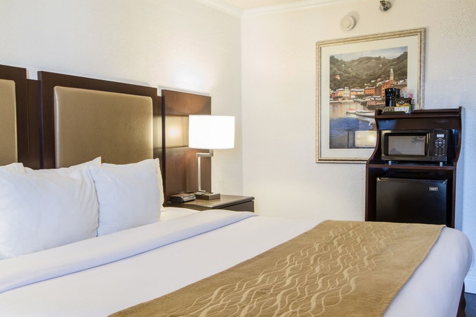 Imagen de la habitación del Hotel Comfort Inn Oceanside Deerfield Beach. Foto 5