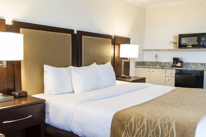 Imagen de la habitación del Hotel Comfort Inn Oceanside Deerfield Beach. Foto 6