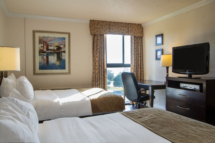Imagen de la habitación del Hotel Comfort Inn Oceanside Deerfield Beach. Foto 8