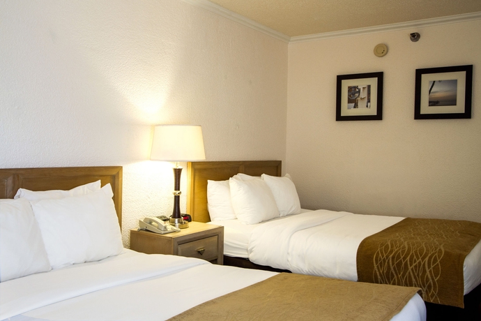 Imagen de la habitación del Hotel Comfort Inn Oceanside Deerfield Beach. Foto 10