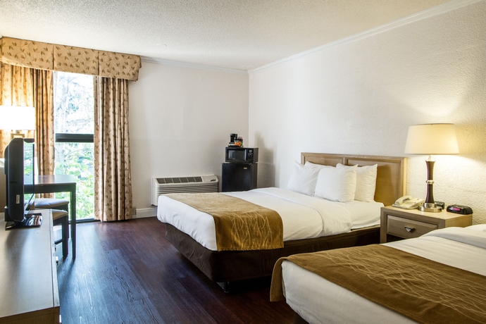 Imagen de la habitación del Hotel Comfort Inn Oceanside Deerfield Beach. Foto 11