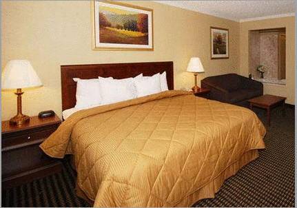 Imagen de la habitación del Hotel Comfort Inn Of Livonia. Foto 7