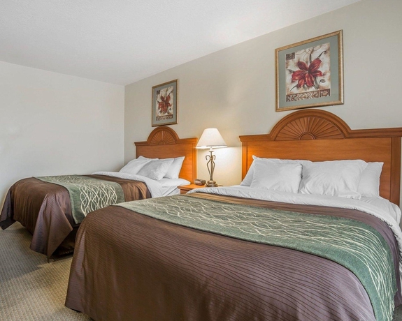 Imagen de la habitación del Hotel Comfort Inn Ogden. Foto 3
