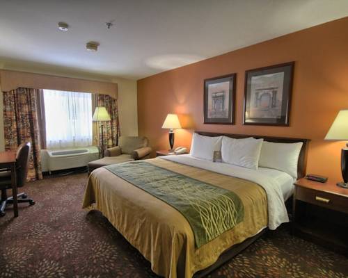 Imagen general del Hotel Comfort Inn Okemos - East Lansing. Foto 1