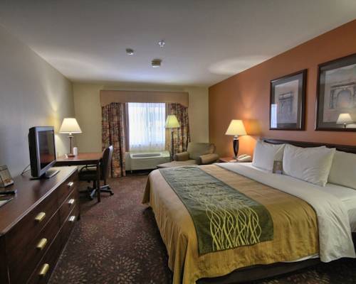 Imagen de la habitación del Hotel Comfort Inn Okemos - East Lansing. Foto 3